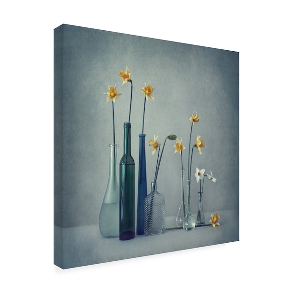 Dimitar Lazarov 'Daffodils In Jars' Canvas Art,24x24